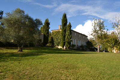 Château Tertre-Roteboeuf